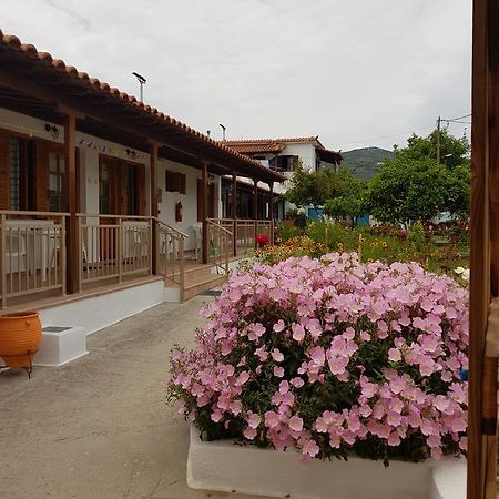 Asimina'S House Lejlighedshotel Skiathos by Eksteriør billede