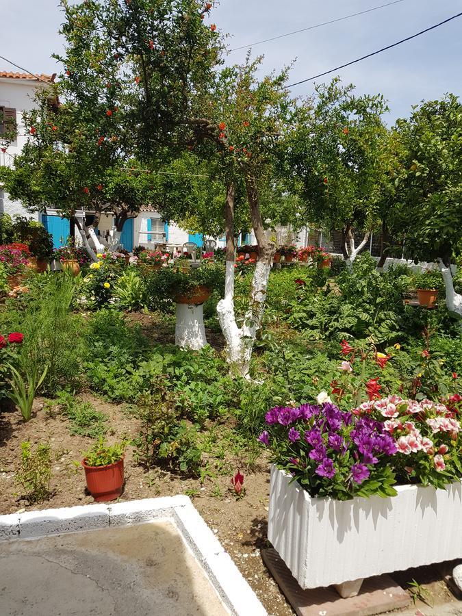 Asimina'S House Lejlighedshotel Skiathos by Eksteriør billede