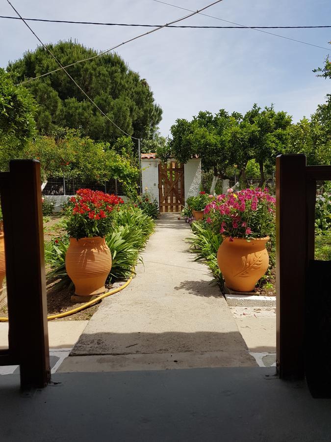 Asimina'S House Lejlighedshotel Skiathos by Eksteriør billede